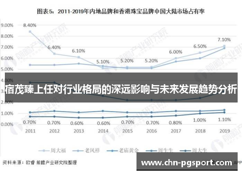 宿茂臻上任对行业格局的深远影响与未来发展趋势分析