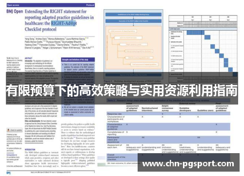 有限预算下的高效策略与实用资源利用指南