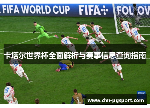 卡塔尔世界杯全面解析与赛事信息查询指南