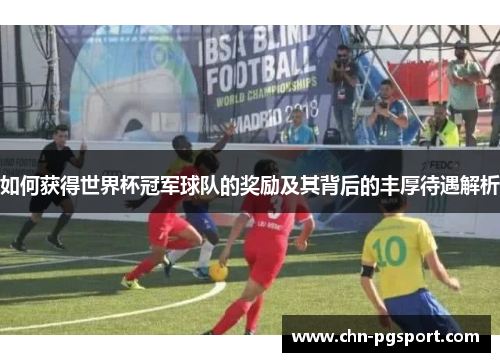 如何获得世界杯冠军球队的奖励及其背后的丰厚待遇解析