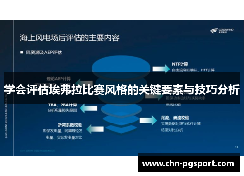学会评估埃弗拉比赛风格的关键要素与技巧分析