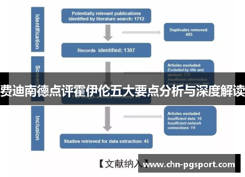 费迪南德点评霍伊伦五大要点分析与深度解读