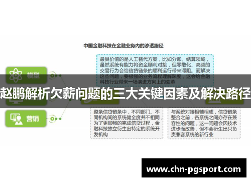 赵鹏解析欠薪问题的三大关键因素及解决路径