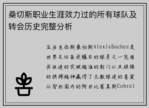 桑切斯职业生涯效力过的所有球队及转会历史完整分析