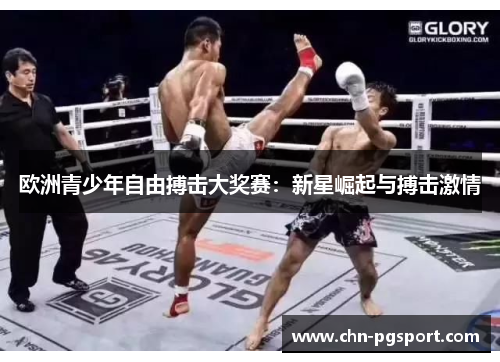 欧洲青少年自由搏击大奖赛：新星崛起与搏击激情