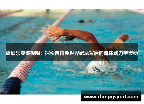 潘展乐突破极限：探索自由泳世界纪录背后的流体动力学奥秘